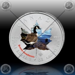 1oz KANADA $5 Maple Leaf 2014 "GOS" BARVNI